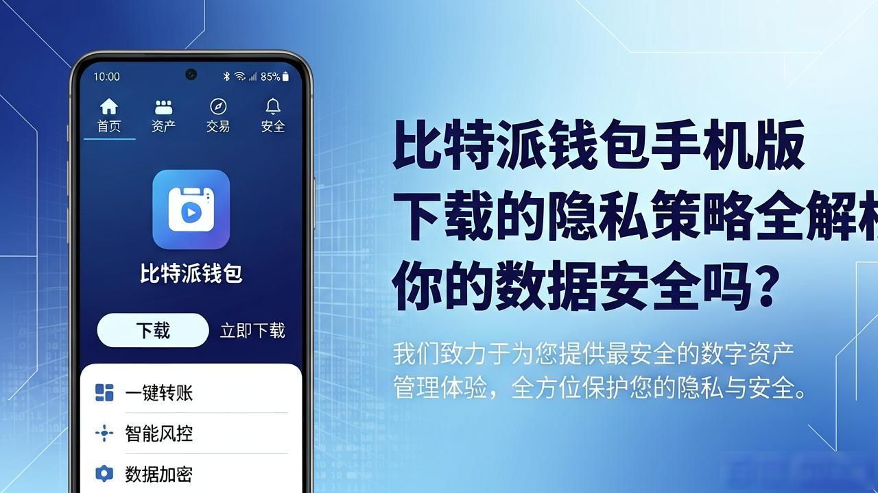 比特派钱包手机版下载的隐私策略全解析：你的数据安全吗？